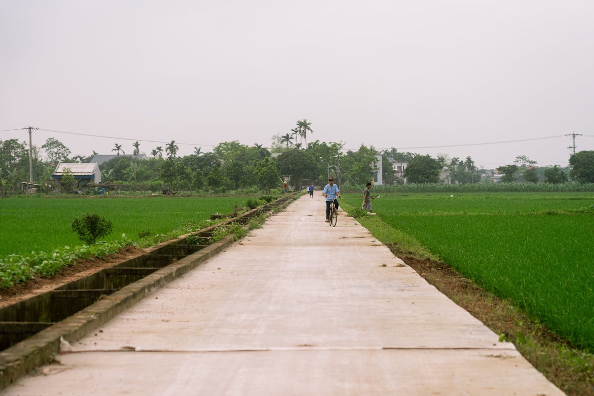 Two bicycles on a quiet path winding through bright green rice paddies near Hoi An with palm trees in the distance