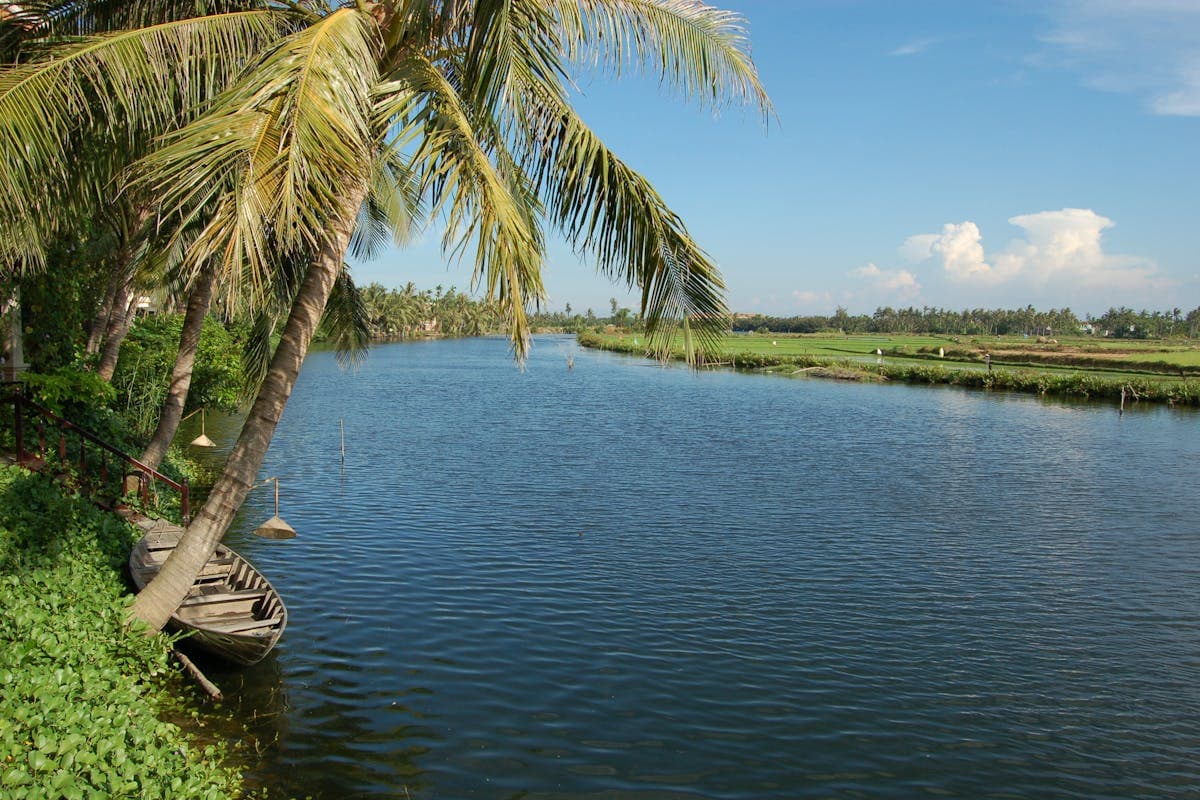 Round coconut basket boats on the palm-lined waterways near Hoi An, a gentle day trip for all ages