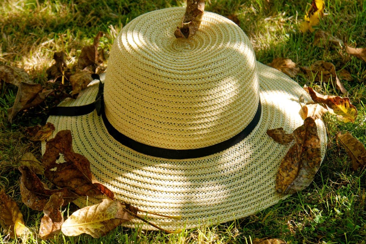 A woven Panama hat with a pale ribbon resting on a wooden surface in warm spring light