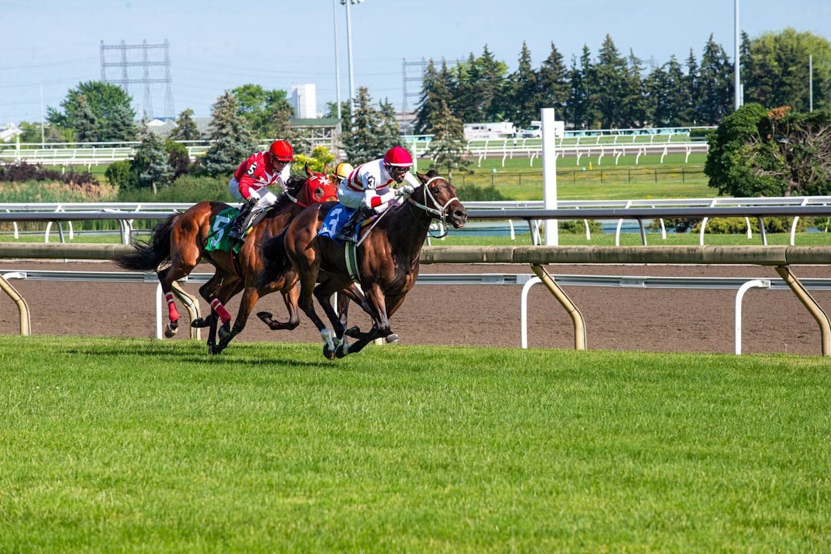Preakness Stakes 2026: What Men Should Wear at Laurel Park (Plus the Black-Eyed Susan Color Code Nobody Tells You) — bespoke and custom tailored suit buying guide by Nathan Tailors, the Hoi An custom tailor