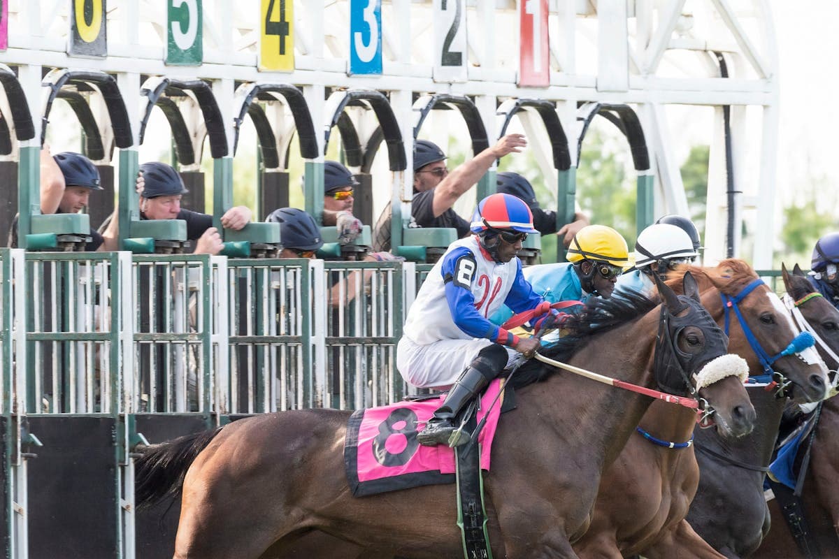 Thoroughbred horses racing down the home stretch at an American racetrack with spectator stands in the background