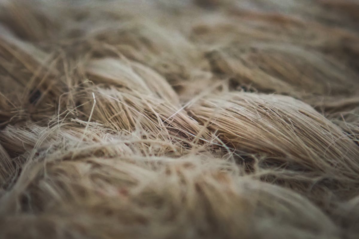 Close-up of raw flax fibers and natural linen weave texture showing the rigid fibers that give linen its characteristic crease