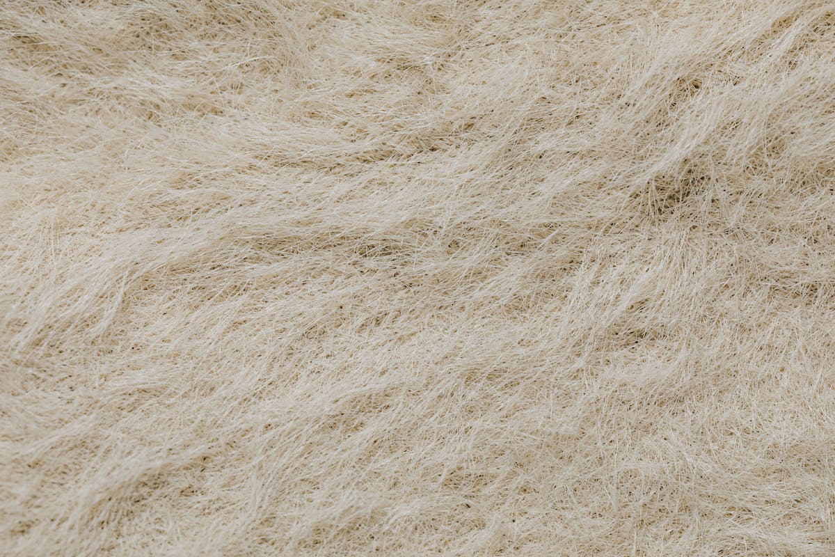 Macro shot comparing the matte weave of natural wool cloth against a smoother synthetic fabric surface
