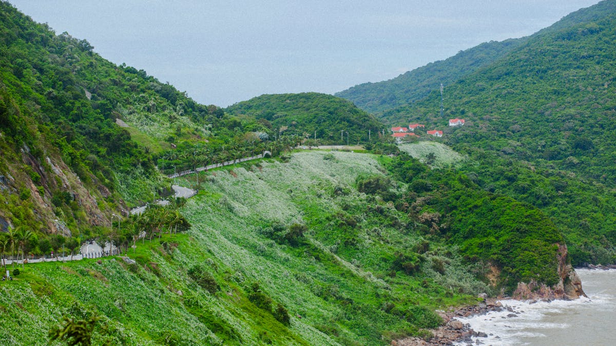 The scenic coastal road between Da Nang and Hoi An, Vietnam, with rice paddies and palm trees lining the route