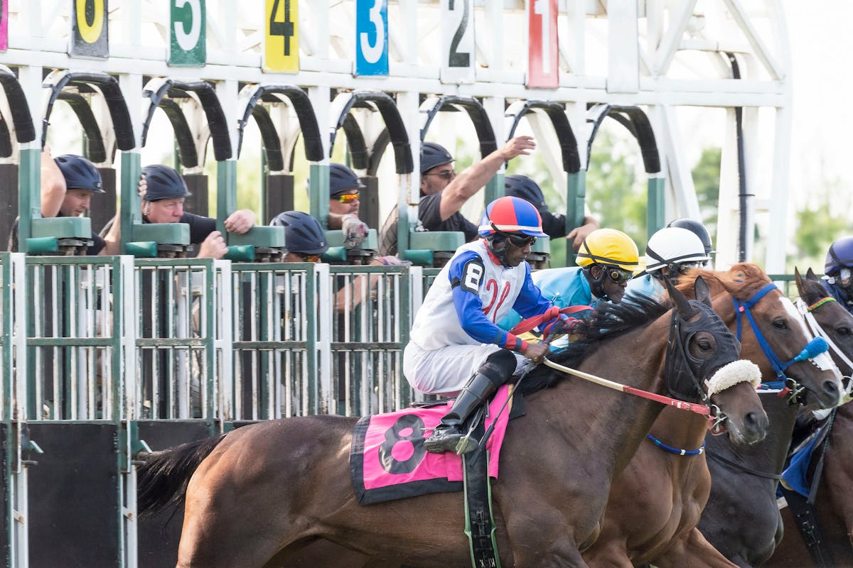 Thoroughbred horses racing down the home stretch at an American racetrack with spectator stands in the background